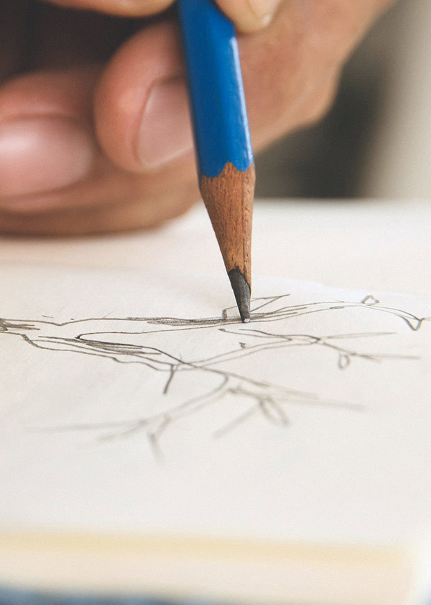 10671|Close up of pencil drawing in progress, portrait crop
