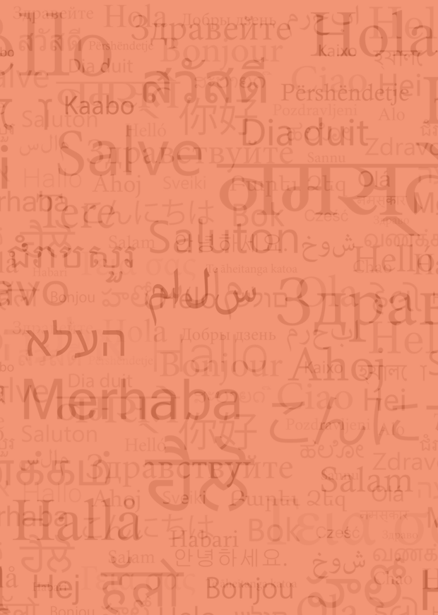 Image of words for "hello" in different languages behind Senior Cycle sector colours